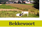 Bezoek de website van de gemeente Bekkevoort