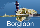 Bezoek de website van de gemeente Borgloon