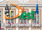 Bezoek de website van Diest Bezoek de website van de gemeente Diest