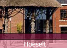 Bezoek de website van Hoeselt Bezoek de website van de gemeente Hoeselt