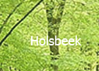 Bezoek de website van de gemeente Holsbeek