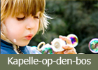 Bezoek de website van de gemeente Kapelle-op-den-bos