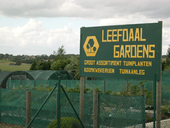 Leefdaal Gardens Coniferen