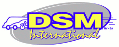 DSM International Occasies