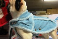Dierenwereld Eukanuba