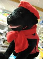 Dierenwereld Eukanuba