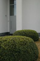 Maes bvba Beplanting