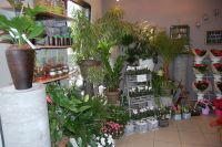 De Bloempot Dagvers