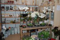 De Bloempot Dagvers