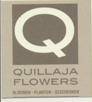 Quillaja Flowers nv Bloemschikken