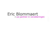 Eric Blommaert Diefstal