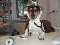 Dierenarts Magda Vranckx Huisbezoek