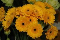 Bloemenwinkel Unicum Abonnement