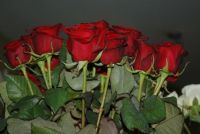 Bloemenwinkel Unicum Abonnement