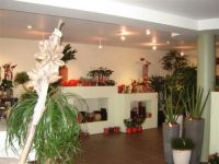 Bloemen Ann Planten
