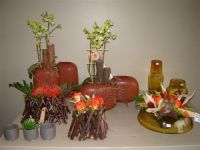 Bloemen Ann Planten
