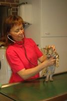 Dierenarts H&eacute;l&egrave;ne De Bruyne 