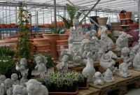 Steenberghen Tuincentrum Tuincentrum