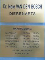 DAP Nele Van Den Bosch Huisdieren