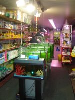 Aqua Shop Aquarium