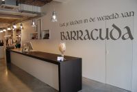 Barracuda Mer du Nord
