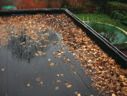Crabbe dakwerken Waterdichting