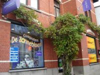 Computers De Zonnebloem Proximus