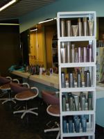 Ann Coiffure Brushing