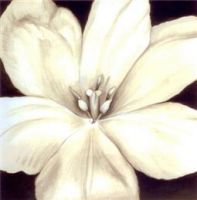 Linda Watrin Home Decorations Interieur decoratie