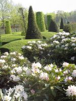 Nevejan Stefaan Beplanting
