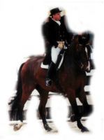 Lord Newcastle Stables Cursussen