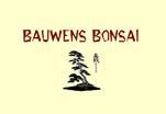 Bauwens Bonsai Boo