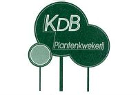 Plantenkwekerij Kris De Backer Terrasplanten