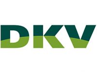Krisinar cvoa Diefstal