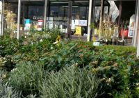 Hofken nv Gardena