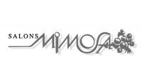 Salons Mimosa Brugge
