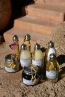 Bio & Beauty Wellness