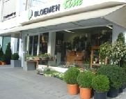 Bloemen Tine Terrasplanten