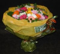 Bloemen Tine Terrasplanten