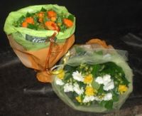 Bloemen Tine Terrasplanten