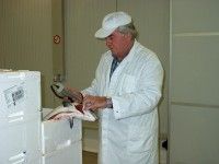 Vergroot foto