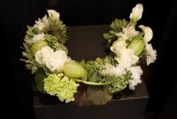 De Eeuwige Lente Huren