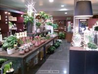 Bloemen...&Meer Bruidswerk
