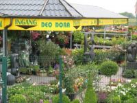 Deodora Dcm