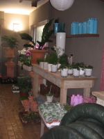 Het Groenatelier bvba Terrasplanten