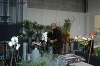 Hortensis bvba Knuffeldieren