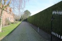 Vergroot foto