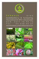 Boomkwekerij en tuinaanleg Schenck Boom