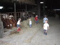 't Prinsenhof Platteland