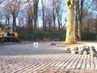 Vergroot foto